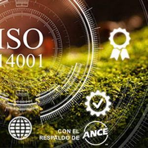 FORMACIÓN AUDITORÍA ISO 14001 – SISTEMA DE GESTIÓN DEL MEDIO AMBIENTE