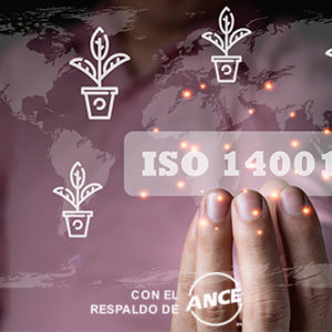 FUNDAMENTOS DEL SISTEMA DE GESTIÓN ISO 14001 – SISTEMA DE GESTIÓN DEL MEDIO AMBIENTE
